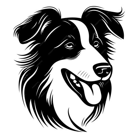 A striking black and white illustration of a border collies head