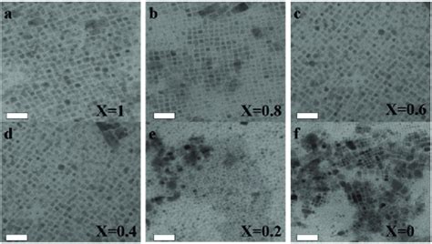 A F Low Resolution Tem Images Of Bi Doped Cs Ag X Na X Incl