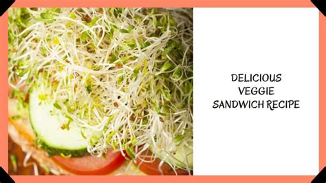 Jimmy John's Veggie Sandwich Recipe: Making Healthy Food - Marias Famous Italian Food