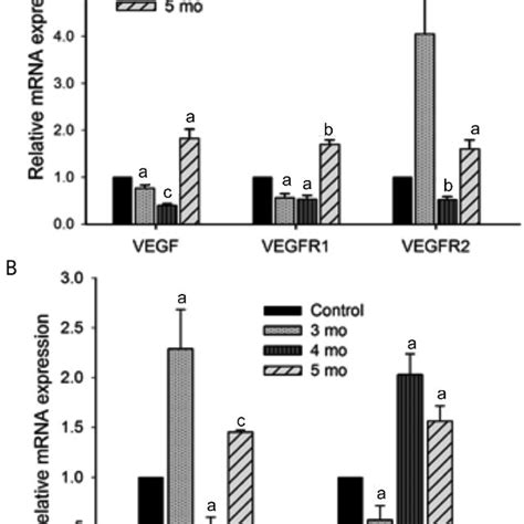 The Mrna Expression Of Vegf Vegfr Vegfr Mmp And Mmp A The