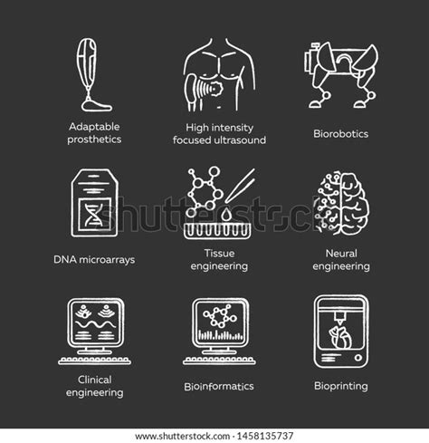 Bioengineering Chalk Icons Set Biotechnology Human Stock Vector Royalty Free 1458135737