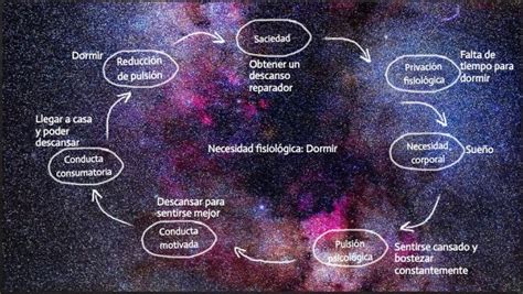 Modelo Necesidad Pulsi N Conducta