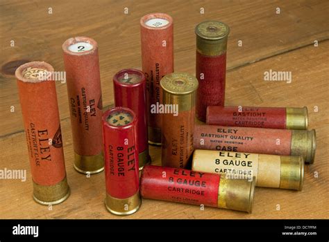 8 Gauge Shotgun Shells