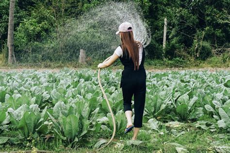 Green Job Tren Peluang Kerja Masa Kini Dan Masa Depan Zero Waste