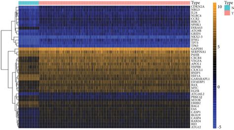 The Autophagy Related Genes Of Differential Expression A Heatmap Of