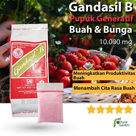 Pupuk Gandasil B Buah NPK Majemuk Fase Generatif Pembungaan Pembuahan