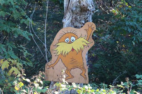 Lorax Forest