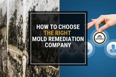 HOW TO CHOOSE THE RIGHT MOLD REMEDIATION COMPANY First To Respond