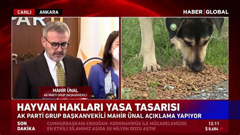 AK Parti den hayvan hakları yasa tasarısı açıklaması Dailymotion Video