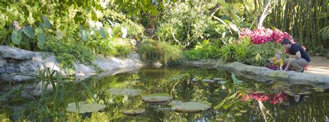 San Diego Botanic Garden In Encinitas - San Diego Museum Council