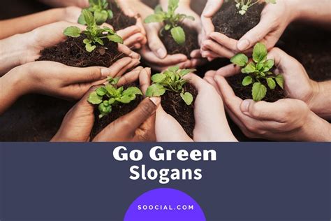 389 Go Green Slogans To Help Save Our Planet Earth - Soocial