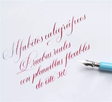 Set De Plumillas Caligraf A Copperplate Inglesa Meses Sin Inter S