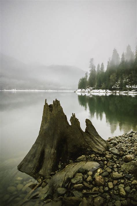 Nick Rufo On Twitter Rt Johncwingfield Winter In The Northwest