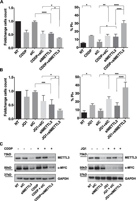 Mettl Depletion Cooperates With Cisplatin Or Jq Inhibitor In The