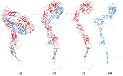 Figure From Molecular Modeling Insights Into The Structure And