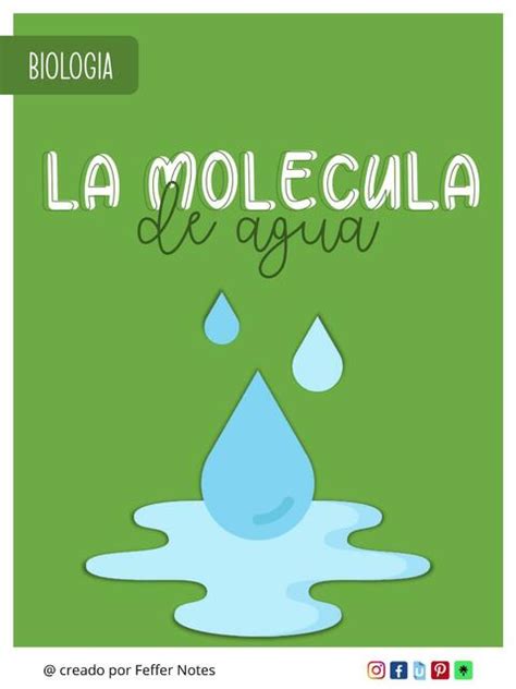 La molécula de agua creado por Feffer Notes Feffer Notes uDocz