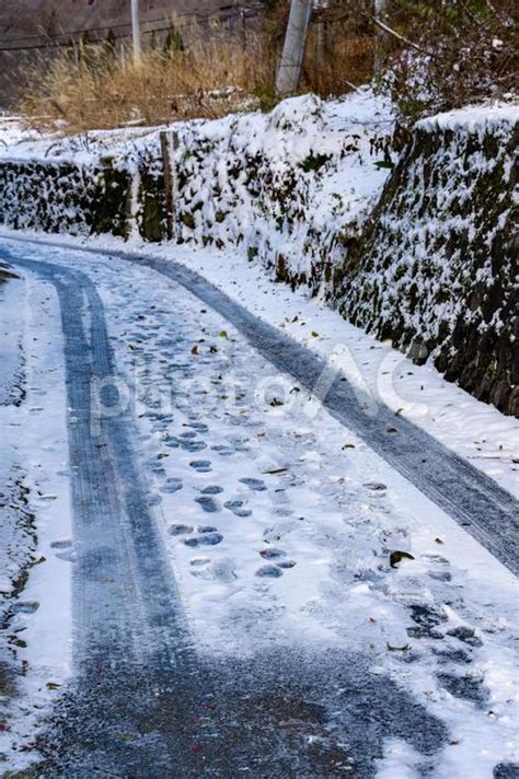 雪の積もった道路 No 28435099｜写真素材なら「写真ac」無料（フリー）ダウンロードok