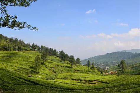 5 Wisata Alam Indah Di Bogor Yuk Cuci Mata Dengan Pemandangan Yang