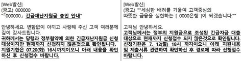 금감원 정부 대출 빌미 사기 문자 ‘소비자 경보 발령 민중의소리