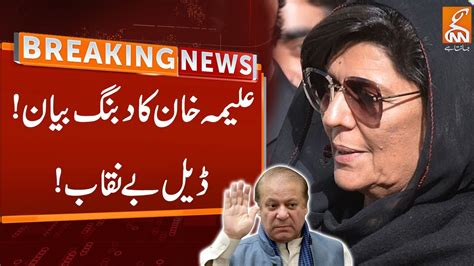 Aleema Khan Dabang Statement In Court Breaking News GNN YouTube