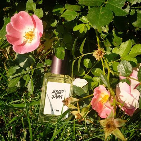 Rose Jam 2019 Lush Perfume A Fragrance For Women And Men 2019