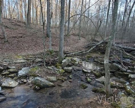 Pennyrile Forest State Resort Park