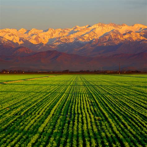 Welcome to Tulare – The Village at Tulare