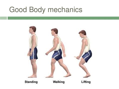 Module 1 Body Mechanics And Lifting