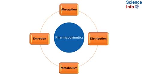 Pharmacokinetics Absorption Distribution Metabolism Excretion