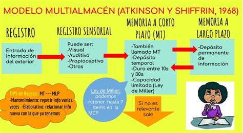 Linea Del Tiempo Del Proceso De Aprendizaje Timeline Timetoast