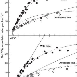 The Response Of Net Co Assimilation Rate A To Intercellular Co In