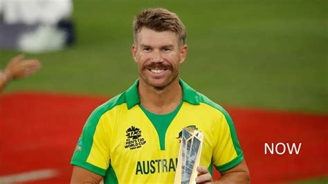 David Warner A Cricketers Life And Career Amidst Scandals