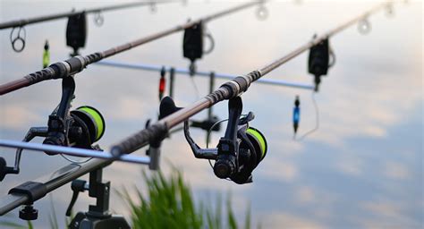 Beginners Guide To Feeder Fishing - TRIZILY.COM