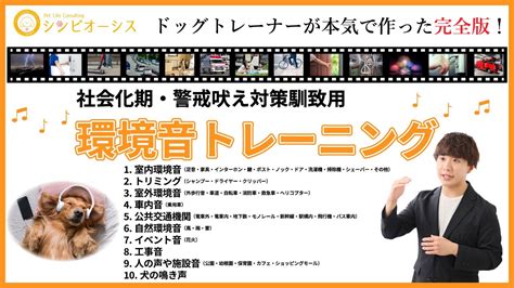 【ドッグトレーナー監修】環境音トレーニング完全版！子犬から成犬までの警戒吠え対策！ 動物（犬・猫 他色々）【まとめ動画】