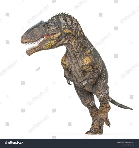 Giganotosaurus Walking On White Background 3d Stock Illustration 2413545965 Shutterstock