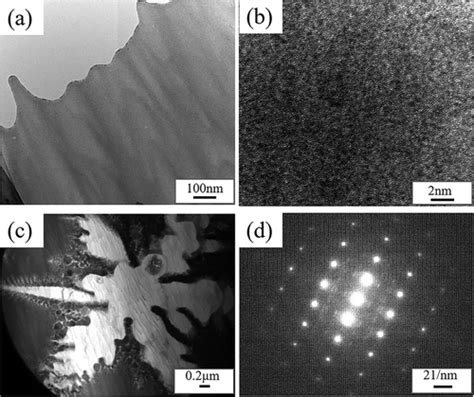 Full Article In Vivo Biodegradation And Biological Properties Of A Mg