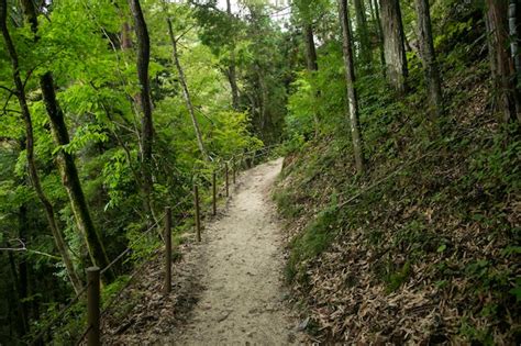 Premium Photo Walking The Hiking Road Following The Nakasendo Trail