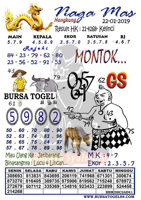 Angka Main Hk Malam Ini Naga Mas Prediksi Sgp