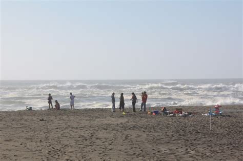 Centerville Beach County Park, Ferndale, CA - California Beaches