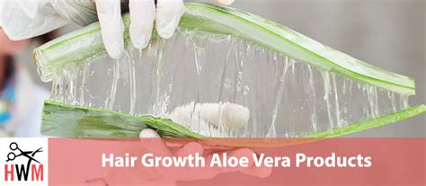 Aloe Vera for Hair Growth: Everything You Need to Know - Hair World Magazine