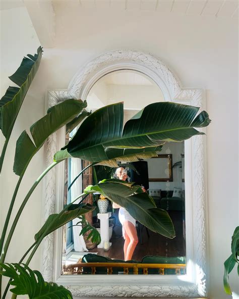 vianai (@vianaiaustin) • Instagram photos and videos