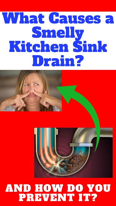 How Dishwasher Air Gaps Work Why You Need One Artofit