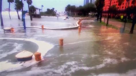 Watch: Video shows Hurricane Idalia's dangerous storm surge ...