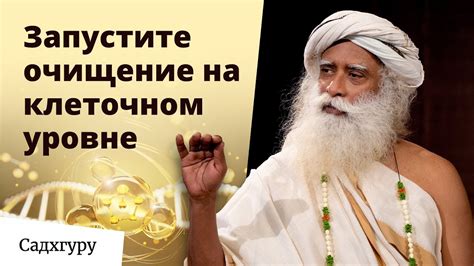 Как перестать чувствовать вялость? - YouTube