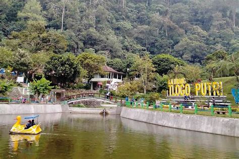 Nostalgia Naik Perahu Bebek Dan Nikmati Indahnya Panorama Alam Tlogo