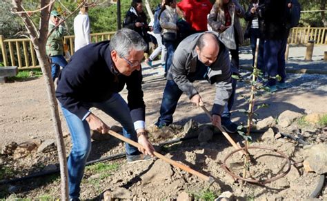 Rinc N De La Victoria Abre El Parque Forestal El Cantal Con Una Gran