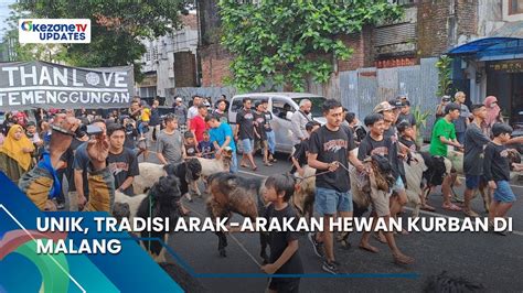 Unik Tradisi Arak Arakan Hewan Kurban Di Malang Okezone Updates