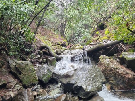 Hiking Mount Diablo Waterfall Loop Partial In Mount Diablo State Park