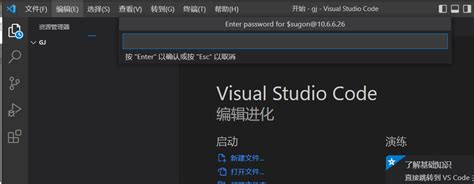 使用vs Code连接远程服务器vscode连接远程服务器 Csdn博客