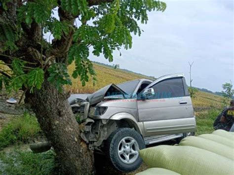 Mobil Tabrak Pohon Asn Bojonegoro Meninggal